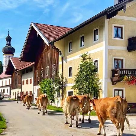 Almglueck Rottau